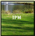 ipm.jpg
