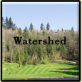 watershed.jpg